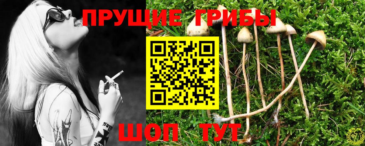 Отрадный  Псилоцибиновые грибы Magic Shrooms  Вход с VPN 