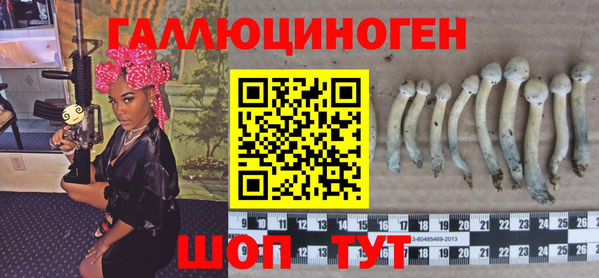 Псилоцибиновые грибы MAGIC MUSHROOMS Отрадный
